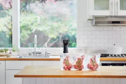 Anova Sous Vide Precision Cooker Pro