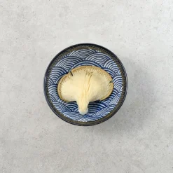 Blue Wave Noodle Bowl, 16.8cm