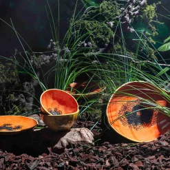 Bordallo Pinheiro Tropical Fruits Papaya Small Bowl, 14x14cm