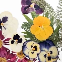 Edible Dried & Pressed Flower & Leaf Mix, 20 pieces