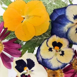 Edible Dried & Pressed Flower & Leaf Mix, 20 pieces