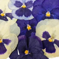 Edible Dried & Pressed Giant Pansies, 8 pieces