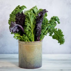 Lagoa Kitchen Utensils Jar