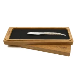 Laguiole en Aubrac Oyster Knife, Oyster Shell Handle