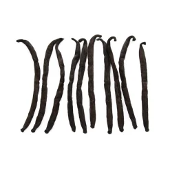 Madagascan Vanilla Pods x 10