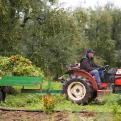 Puglian Olive Oil with Chilli in Terracotta Bottle, 250ml