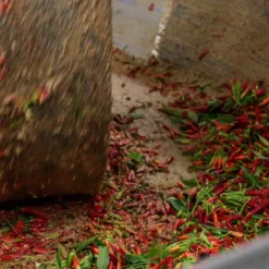 Puglian Olive Oil with Chilli in Terracotta Bottle, 250ml