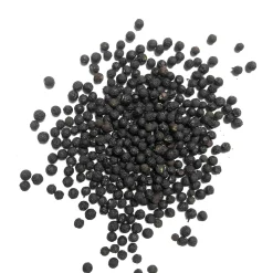 Terre Exotique Verbena Berry, 60g