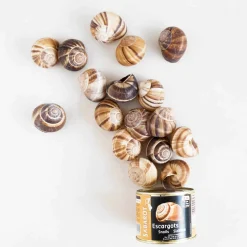 Tinned Snails With Shells, 300g