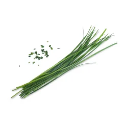 Veritable Asian Lingot Insert, Organic Chinese Chives