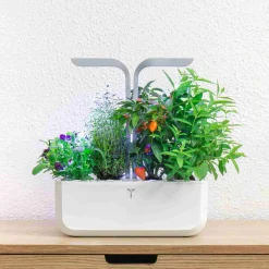 Veritable Classic Indoor Herb Garden