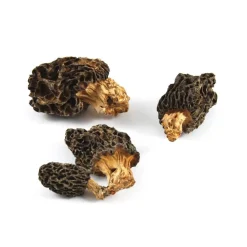 Wild Morel Mushrooms, 30g
