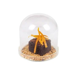 4x Small Domed Glass Cloche, 8cm dia